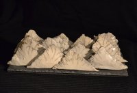 des Meeres und der Liebe Wellen (2016) - Rakubrand glasiert 40 x 13 x 10 cm